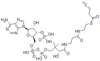 CAS#: 84061-72-3， 3,4-Pentadienoyl-Coenzyme A