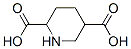 CAS#: 84619-48-7， 2,5-Piperidinedicarboxylic Acid