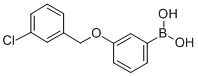 structure of CAS# 849062-33-5, 3-(3'-Chlorobenzyloxy)Phenylboronic Acid