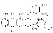 CAS#: 85145-53-5， Carminomycin 13-Cyclohexylidenehydrazone