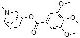 CAS 登录号：87395-54-8， [1Β,5Β,(+)]-莨菪烷-2a-基 3,4,5-三甲氧基苯甲酸酯
