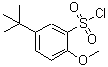 CAS#: 88041-83-2， 2-Methoxy-5-(2-methyl-2-propanyl)benzenesulfonyl chloride
