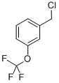 structure of CAS# 89807-43-2, 3-(Trifluoromethoxy)Benzyl Chloride;3-(TRIFLUOROMETHOXY)BENZYL CHLORIDE