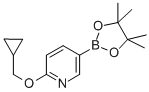 structure of CAS# 947191-69-7, 6-Cyclopropylmethoxypyridine-3-Boronic Acid Pinacol Ester;2-(CYCLOPROPYLMETHOXY)-5-(4,4,5,5-TETRAMETHYL-1,3,2-DIOXABOROLAN-2-YL)PYRIDINE;2-(Cyclopropylmethoxy)Pyridine-5-Boronic Acid,Pinacol Ester