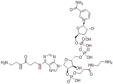 CAS 登录号:95754-68-0, 2'-(O)-(N-(2-氨基乙基)氨基甲酰基乙基)膦酰-N(6)-(N-(2-氨基乙基)氨基甲酰基乙基)-NAD