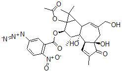 CAS#: 96657-96-4， 12-O-(5-Azido-2-Nitrobenzoylphorbol)-13-Acetate