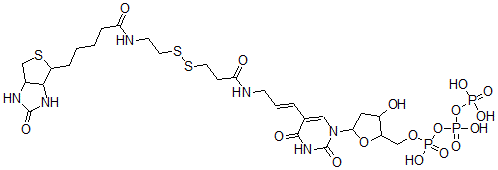 CAS 登录号：97068-12-7， [[[5-[2,4-二氧代-5-[(E)-3-[3-[2-[5-(7-氧代-3-硫杂-6,8-二氮杂双环[3.3.0 ]辛-2-基)戊酰氨基]乙基二硫]丙酰氨基]丙-1-烯基]嘧啶-1-基]-3-羟基四氢呋喃-2-基]甲氧基羟基磷酰]氧基羟基磷酰]氧基膦酸