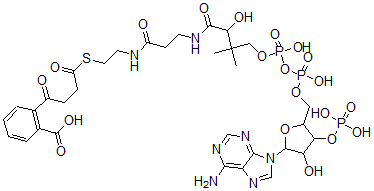 CAS#: 97226-61-4， 4-(2'-Carboxyphenyl)-4-Oxobutyryl-Coenzyme A Ester