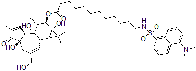 CAS#: 98897-17-7， 12-O-(12-N-Dansylaminododecanoyl)Phorbol
