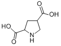 CAS#: 99319-03-6， 2,4-Pyrrolidinedicarboxylic Acid