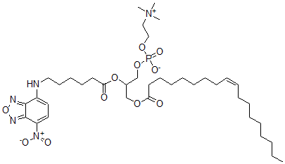 CAS 登录号：99566-32-2， 1-油酰基-2-(7-(4-硝基苯并-2-氧杂-1,3-二唑))-6-氨基己酰磷脂酰胆碱