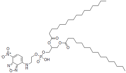 CAS#: 99684-86-3， N-4-Nitrobenzo-2-Oxa-1,3-Diazoledipalmitoyl Phosphatidylethanolamine