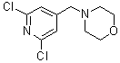 4-[(2,6-Dichloro-4-pyridinyl)methyl]morpholine molecular structure (CAS 1015844-22-0)