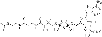 结构式 CAS# 102029-73-2, 乙酰辅酶 A 钠盐