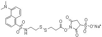 3-[[2-[[[5-(Dimethylamino)-1-naphthalenyl]sulfonyl]amino]ethyl]dithio]propanoic acid 2,5-dioxo-3-sulfo-1-pyrrolidinyl ester sodium salt (1:1) molecular structure (CAS 1024168-37-3)