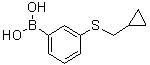 [3-(环丙基甲硫基)苯基]硼酸分子结构 (CAS 1025746-82-0)