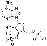 Adenosine 3',5'-bisphosphate molecular structure (CAS 1053-73-2)