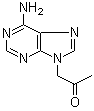 1-(6-Amino-9H-purin-9-yl)-2-propanone molecular structure (CAS 105970-02-3)
