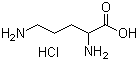 DL-Ornithine hydrochloride molecular structure (CAS 1069-31-4)