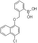 structure of CAS# 1072951-65-5, [2-[[(4-Chloro-1-naphthalenyl)oxy]methyl]phenyl]boronic acid