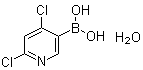 (4,6-Dichloro-3-pyridinyl)boronic acid hydrate (1:1) molecular structure (CAS 1072952-26-1)