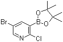 结构式 CAS# 1073354-79-6, 5-溴-2-氯吡啶-3-硼酸频哪醇酯