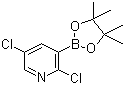 结构式 CAS# 1073371-98-8, 2,5-二氯吡啶-3-硼酸频哪醇酯