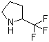 2-(Trifluoromethyl)pyrrolidine molecular structure (CAS 109074-67-1)