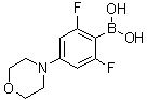 structure of CAS# 1093878-46-6, B-[2,6-Difluoro-4-(4-morpholinyl)phenyl]boronic acid