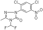 2-(2,4-Dichloro-5-nitrophenyl)-4-(difluoromethyl)-2,4-dihydro-5-methyl-3H-1,2,4-triazol-3-one molecular structure (CAS 111992-17-7)