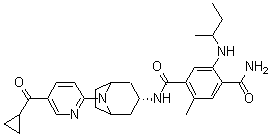 structure of CAS# 1149705-71-4, XL888;N1-[(3-endo)-8-[5-(Cyclopropylcarbonyl)-2-pyridinyl]-8-azabicyclo[3.2.1]oct-3-yl]-2-methyl-5-[[(1R)-1-methylpropyl]amino]-1,4-benzenedicarboxamide