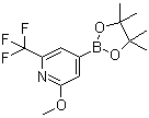structure of CAS# 1150561-66-2, 2-Methoxy-6-trifluoromethylpyridine-4-boronic acid pinacol ester;2-Methoxy-4-(4,4,5,5-tetramethyl-1,3,2-dioxaborolan-2-yl)-6-(trifluoromethyl)pyridine