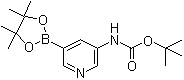 [5-(4,4,5,5-Tetramethyl-[1,3,2]dioxaborolan-2-yl)pyridin-3-yl]carbamic acid tert-butyl ester molecular structure (CAS 1171897-39-4)