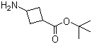 3-Aminocyclobutanecarboxylic acid tert-butyl ester molecular structure (CAS 1173205-83-8)