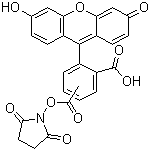5(6)-羧基荧光素琥珀酰亚胺酯分子结构 (CAS 117548-22-8)