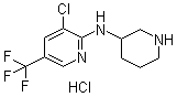 3-Chloro-N-3-piperidinyl-5-(trifluoromethyl)-2-pyridinamine hydrochloride molecular structure (CAS 1185319-67-8)