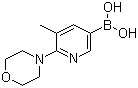 结构式 CAS# 1191062-85-7, B-[5-甲基-6-(4-吗啉基)-3-吡啶基]硼酸