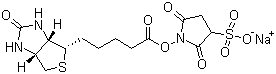 structure of CAS# 119616-38-5, Biotin 3-sulfo-N-hydroxysuccinimide ester sodium salt