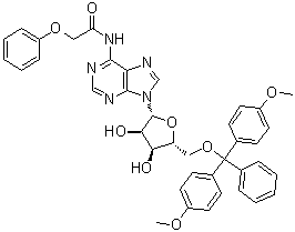 5'-O-[二(4-甲氧基苯基)苯基甲基]-N-(苯氧基乙酰基)腺苷分子结构 (CAS 121076-16-2)