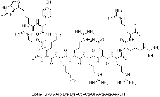 N-[5-[(3aS,4S,6aR)-Hexahydro-2-oxo-1H-thieno[3,4-d]imidazol-4-yl]-1-oxopentyl]-L-tyrosylglycyl-L-arginyl-L-lysyl-L-lysyl-L-arginyl-L-arginyl-L-glutaminyl-L-arginyl-L-arginyl-L-arginine molecular structure (CAS 1231898-25-1)