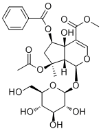 6-O-Benzoylphlorigidoside B molecular structure (CAS 1246012-24-7)