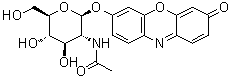 7-[[2-(Acetylamino)-2-deoxy-beta-D-glucopyranosyl]oxy]-3H-phenoxazin-3-one molecular structure (CAS 124762-32-9)