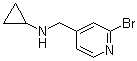2-Bromo-N-cyclopropyl-4-pyridinemethanamine molecular structure (CAS 1289386-62-4)