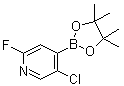 结构式 CAS# 1310383-58-4, 5-氯-2-氟-4-(4,4,5,5-四甲基-1,3,2-二氧杂环戊硼烷-2-基)吡啶