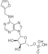 N-(2-Furanylmethyl)-5'-adenylic acid molecular structure (CAS 13484-67-8)