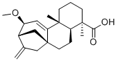 12alpha-Methoxygrandiflorenic acid molecular structure (CAS 135383-94-7)