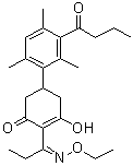 Butroxydim molecular structure (CAS 138164-12-2)