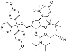 5'-O-DMT-2'-O-TBDMS-L-Uridine 3'-CE phosphoramidite molecular structure (CAS 144490-31-3)