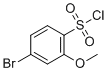 结构式 CAS# 145915-29-3, 4-溴-2-甲氧基苯-1-磺酰基氯化物