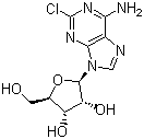 2-氯腺嘌呤核苷分子结构 (CAS 146-77-0)